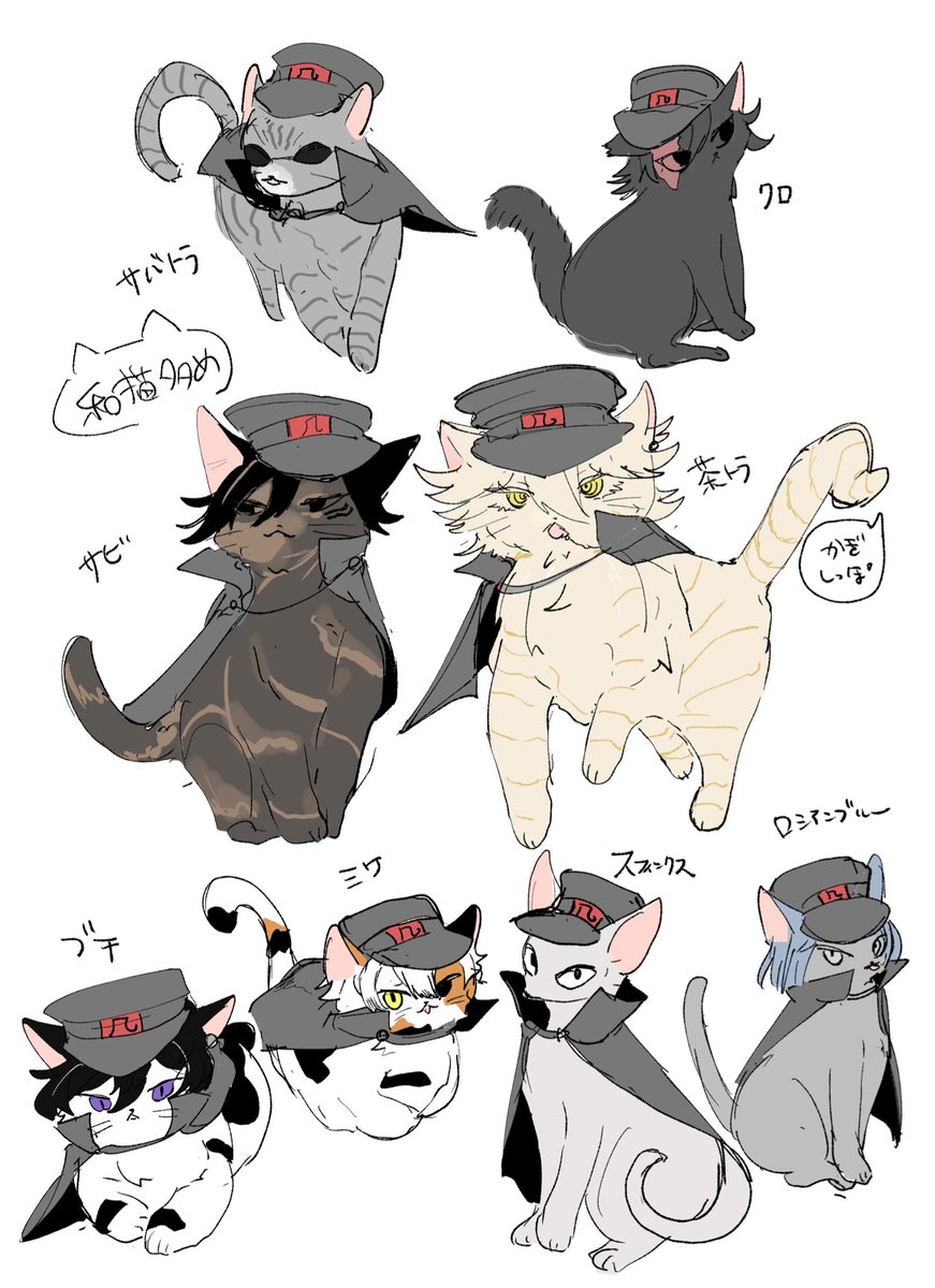 マカダミアナッツｯｯｯｯｯ (@MG4VtP8Nfie2fKL) / Posts / X