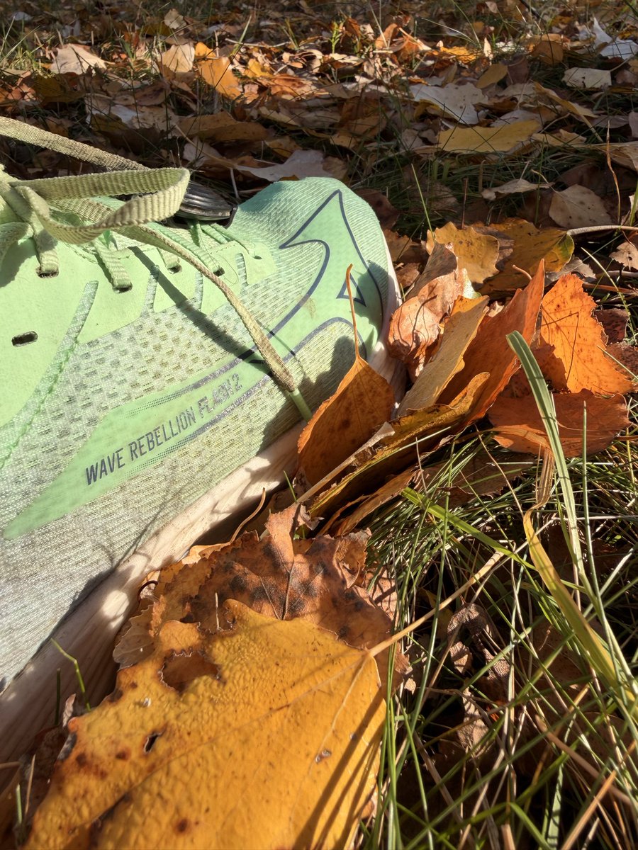 VeselyJan's tweet image. 🏁 Labský půlmaraton 🏞️ možná poslední závod sezony – a jaký!
PR 1:27:36 ⏱️, celkově 20. místo, v kategorii 5. místo 💥
Krásná trasa, ještě lepší počasí a nohy jak z reklamy na endorfiny 😄
Když ti závod napíše hezčí tečku než jsi doufal ✨
#půlmaraton #osobák #běh…