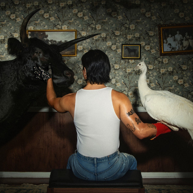 松ぼっくりと人 どす恋松ぼっくり (@fufufufufuji) / Posts / X