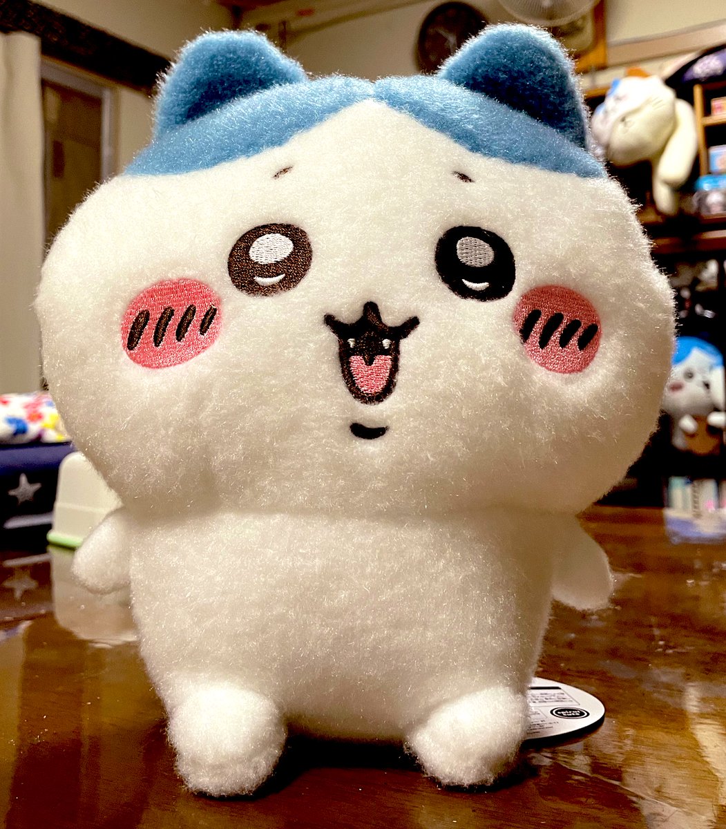 くまたん (@kumatanxxx) / Posts / X