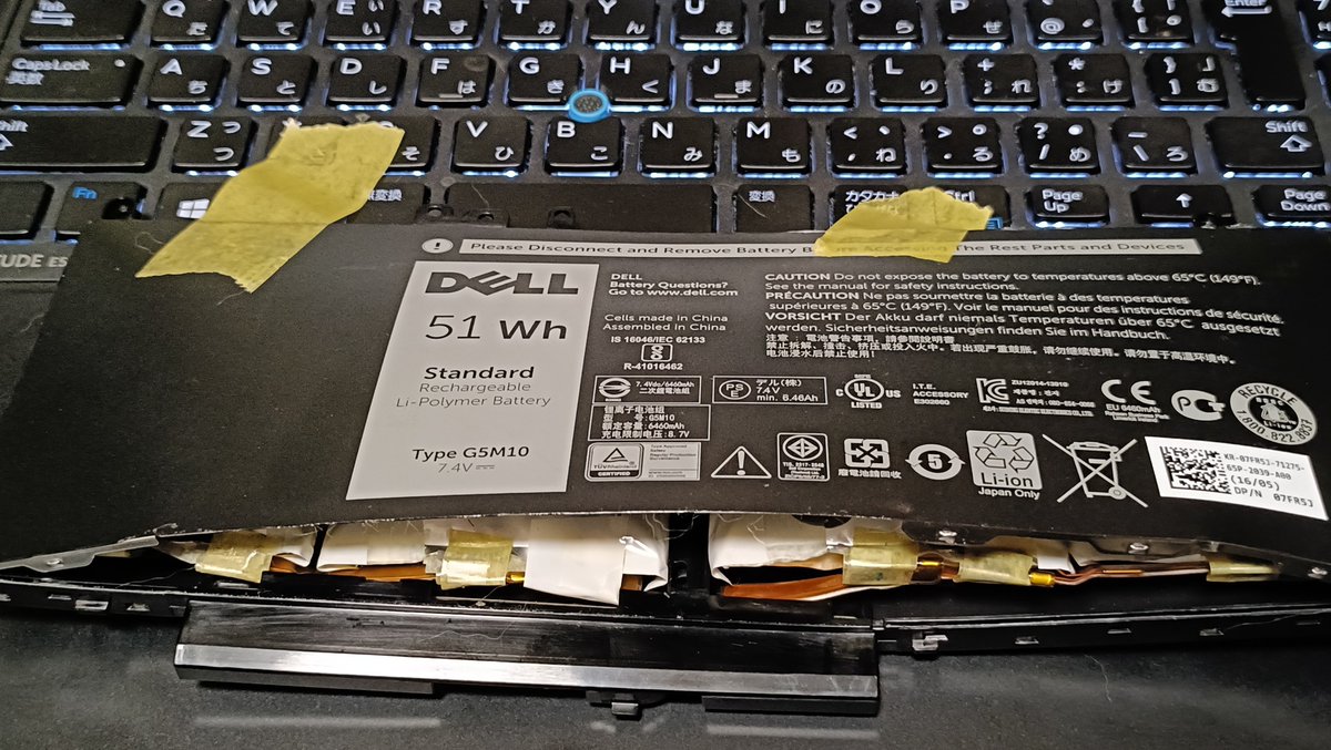 ネコポスいっぱい❇️くるくる♪ゴアナグロー❣️ Cycle Flower/サイクルフラワー - IN SPORTS CYCLE