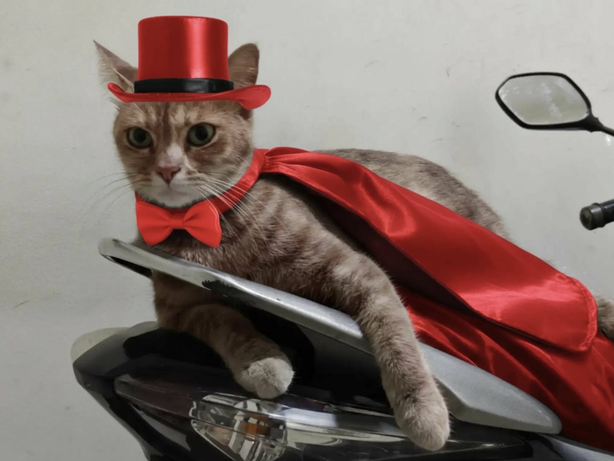 Herry SW tweet media