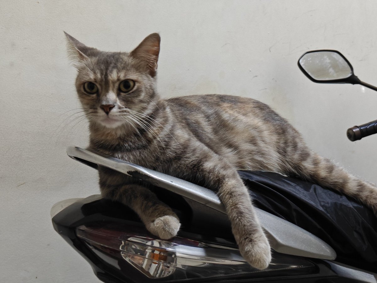 Herry SW tweet media