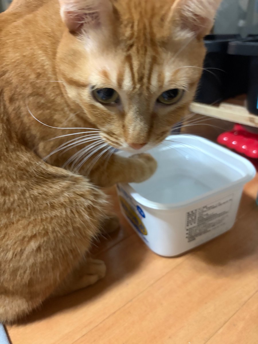 メルカリ、エラーが度々出てきます。
こんな日に限って4件売れました！
発送方法を選ぶまでは行けるけど、バーコードを読み取るボタンが出てこない。
もう一度発送方法を選ぶからやり直すとバーコード読み取るボタンが出てくるよ。不安な中、発送してきます。