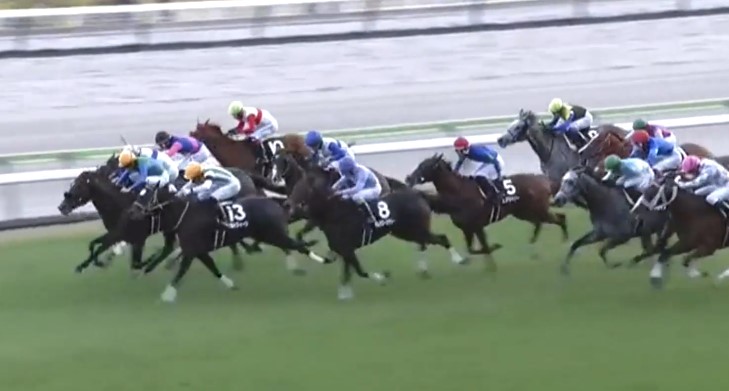 kimurabokujo's tweet photo. 11月8日、当社育成馬ソルトクィーン(牝4、栗東・武英智厩舎、杉浦敏夫様所有)が、福島11R、キビタキステークス（3歳以上3勝クラス、ハンデ、芝1200m）で、4勝目を挙げました！

杉浦様、武英智厩舎の皆様、優勝おめでとうございました！
https://t.co/Ols0vVx3Ul https://t.co/DhbWyDXqc2