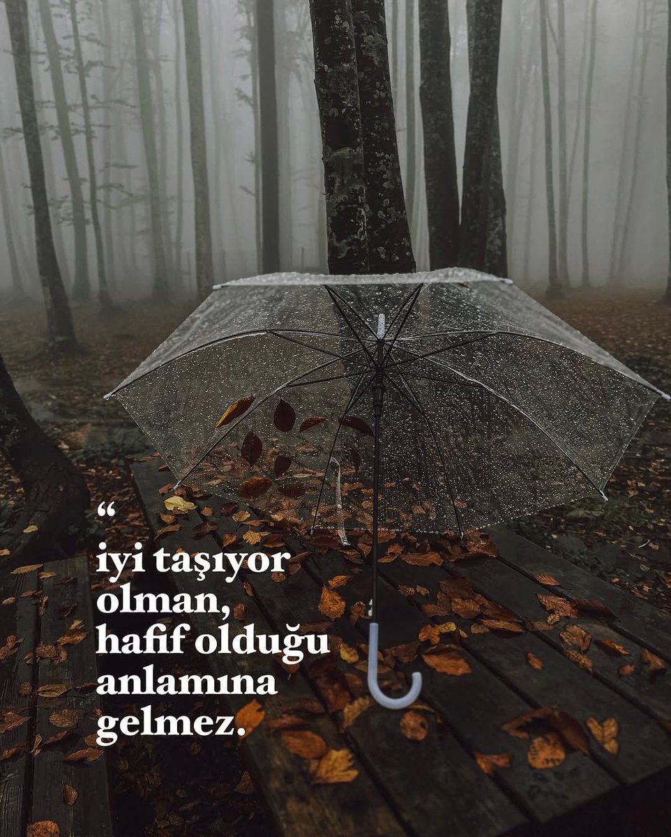 opheliart_1's tweet photo. https://t.co/MtoSq3FoEf
