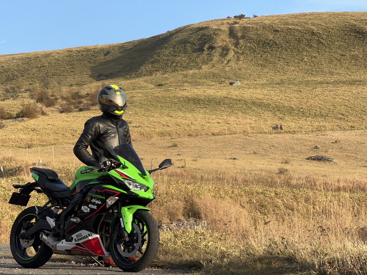 うりなすび🦗 on X