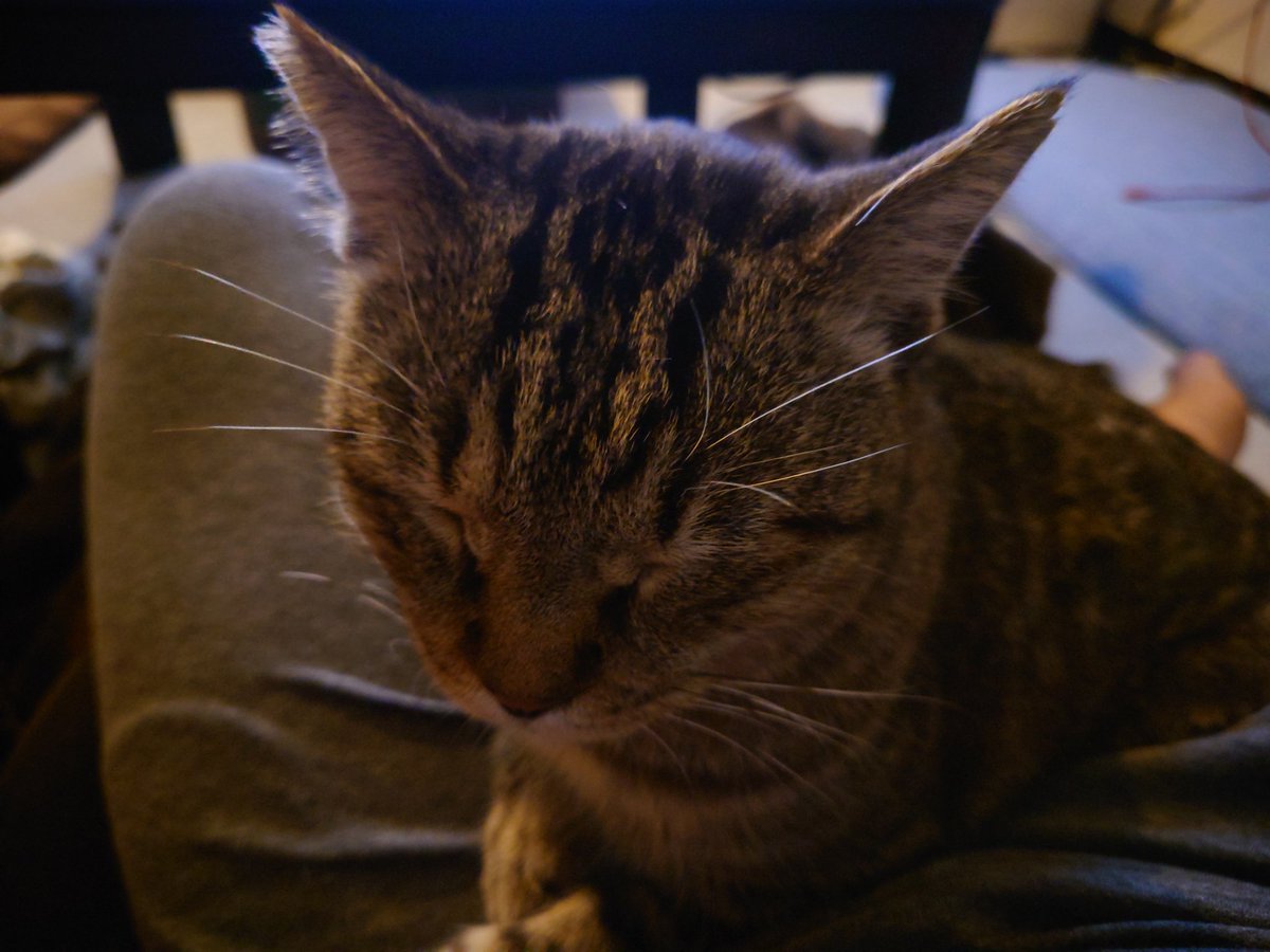 ジャンバラヤ•*¨*•.¸♬︎ 🥘ジャンバラヤ🥘 (@ninjanbaraya417) / Posts / X