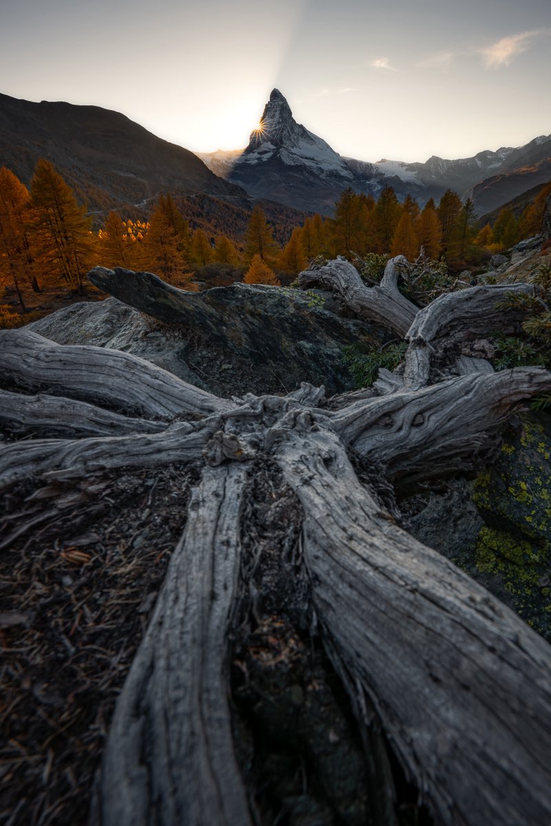 ChrisBurth | Photography tweet media