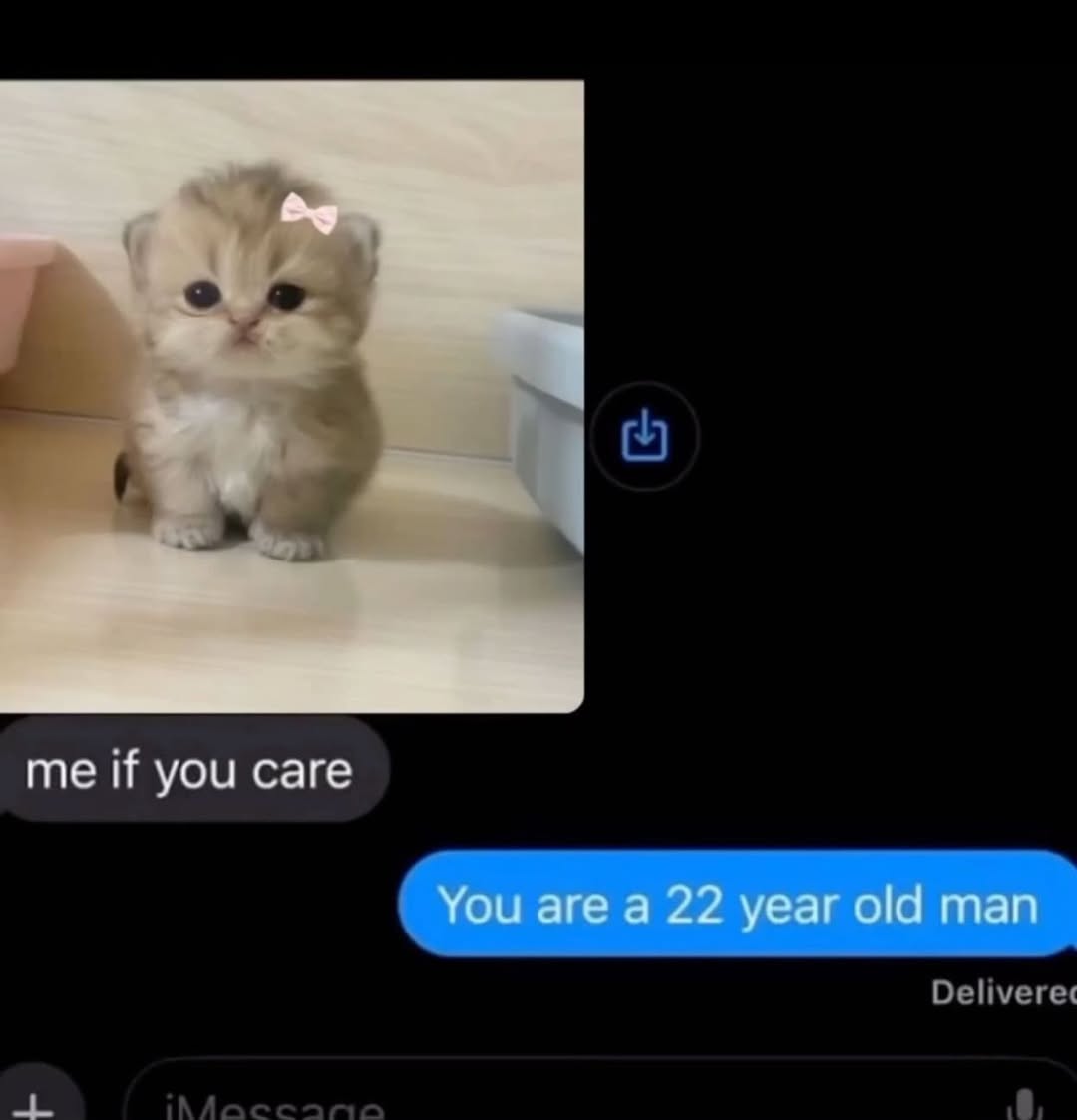 smol silly cat tweet media