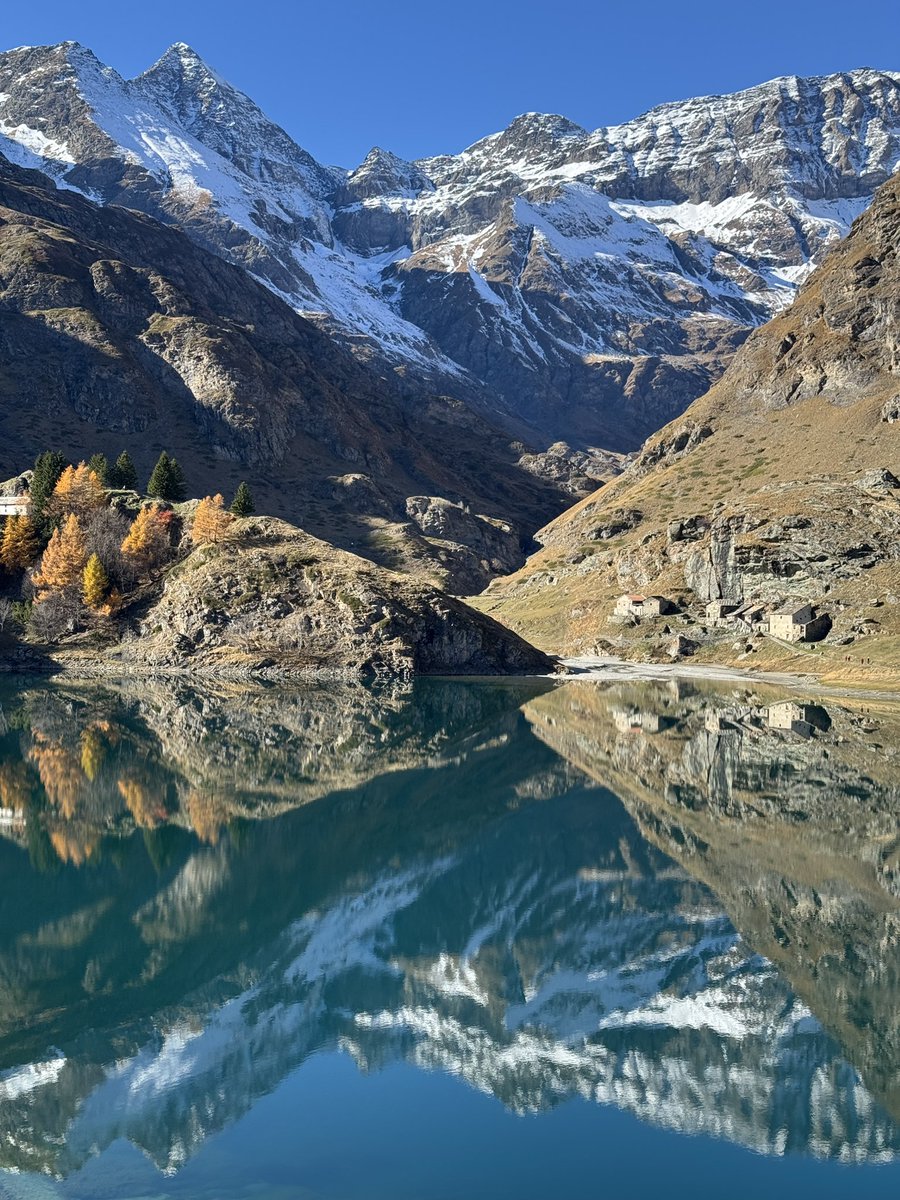 NeFag_'s tweet image. il sole negli occhi