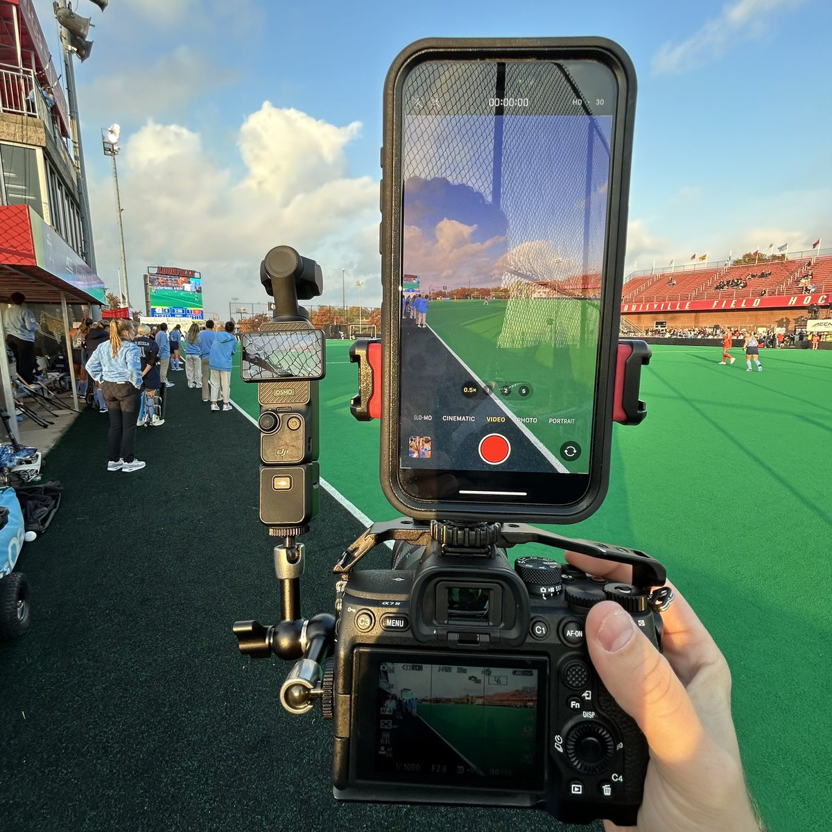 Daniel Forcella tweet media