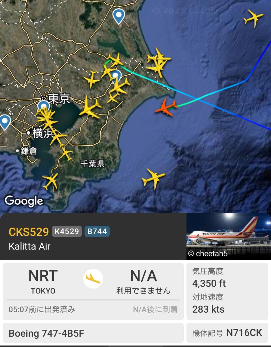 Lycoris.さま専用ページ HΛL on X