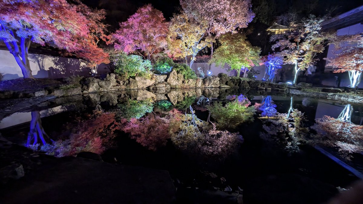 江刺藤原の郷の紅葉ライトアップが最高に綺麗でした😍🍁