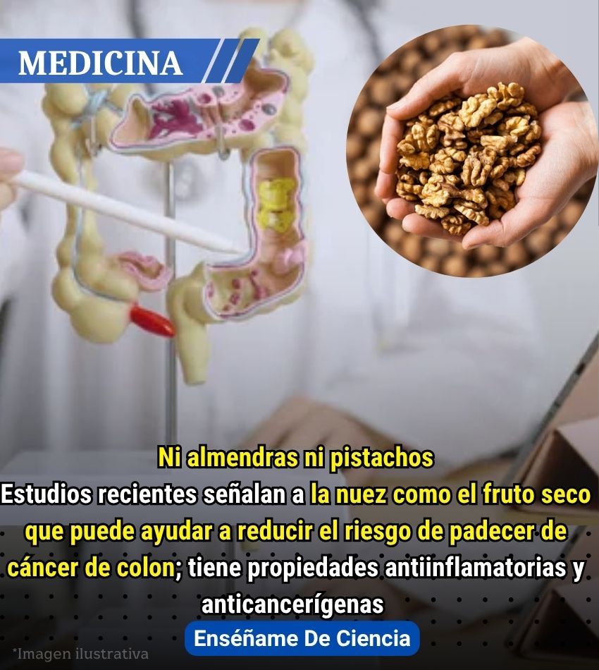 EnsedeCiencia's tweet photo. https://t.co/8LPALaH1gh