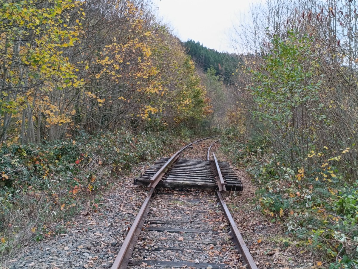 Collectif Usagers Transports Haut Allier tweet media