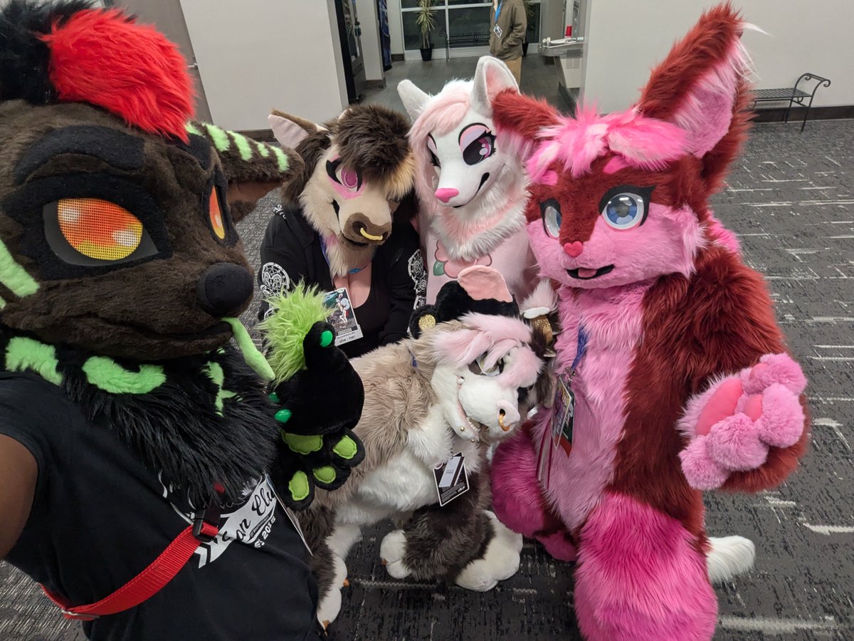 Saturday is when it goes DOWN! <a href="/CarolinaFurfare/">Carolina Furfare: Cryptid Catastrophe</a> <a href="/BabylonVonWyre/">Babylon</a> <a href="/EddieBear58/">Fursuit Builder Bear ▶️Anthrocon ⏩MFM ⏩CFF</a> <a href="/BimboMutt_/">🖤💗Stupid Dog💗🖤</a> <a href="/Vixitty/">💕Vixitty💕</a>
