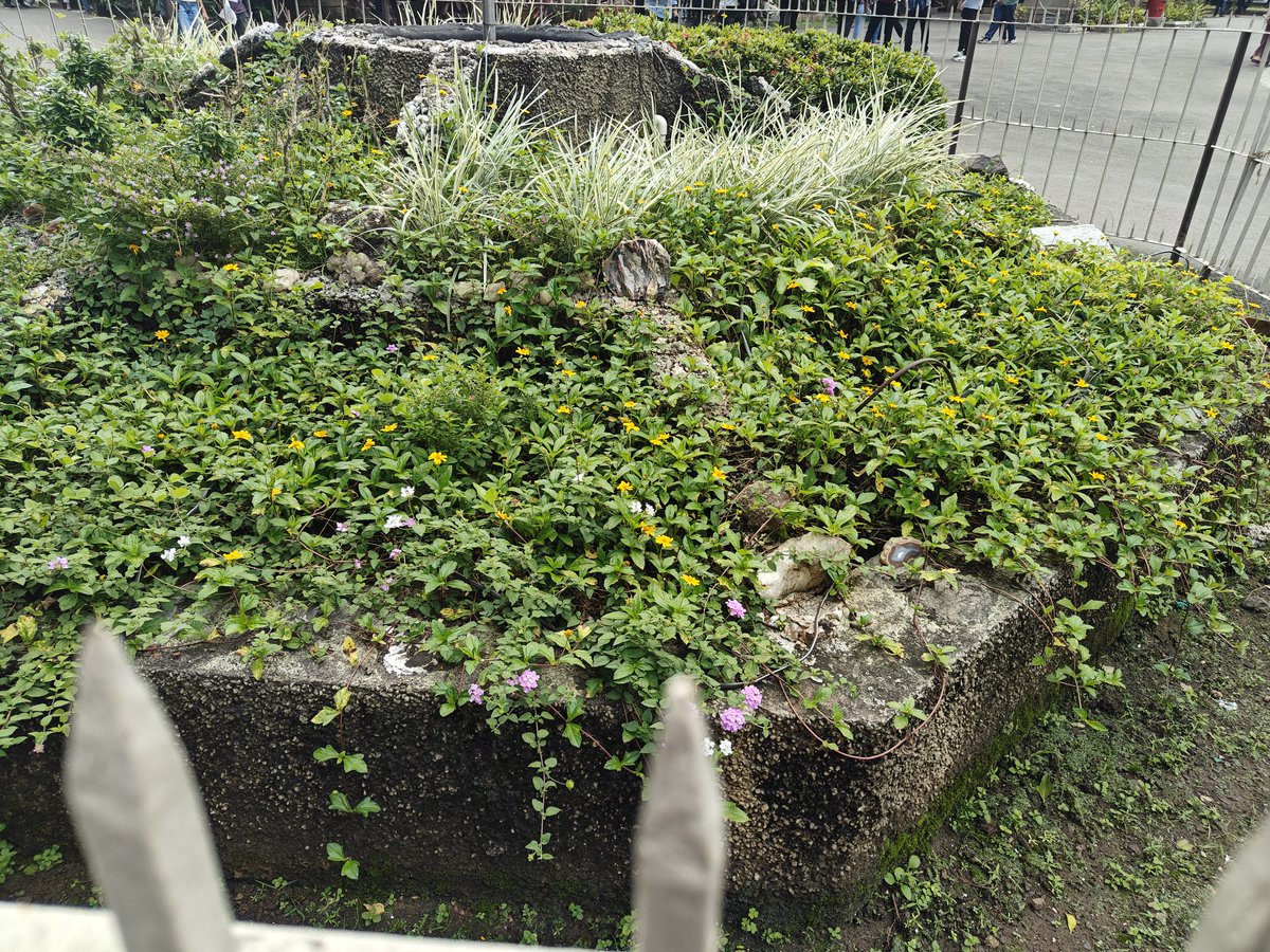 satyajitkalaska's tweet image. October whispers to the flowers, and they fall in soft surrender.

Each flower faces the short, quiet days of winter, when daylight gently fades away... 🌻

Oh there you, what are you crying for ... 🦋 🌈

#life #selfmusing💫  #nuances #Spotlight #Autumn