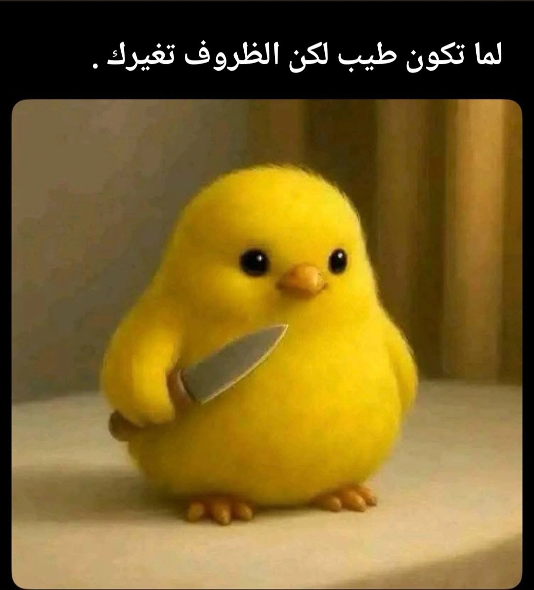 Roger (@rwjr168107) on Twitter photo 