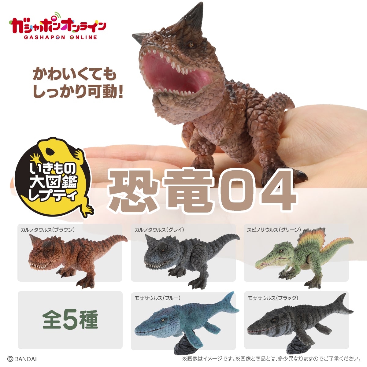 Timeless Dimension タイムレス ディメンション on X