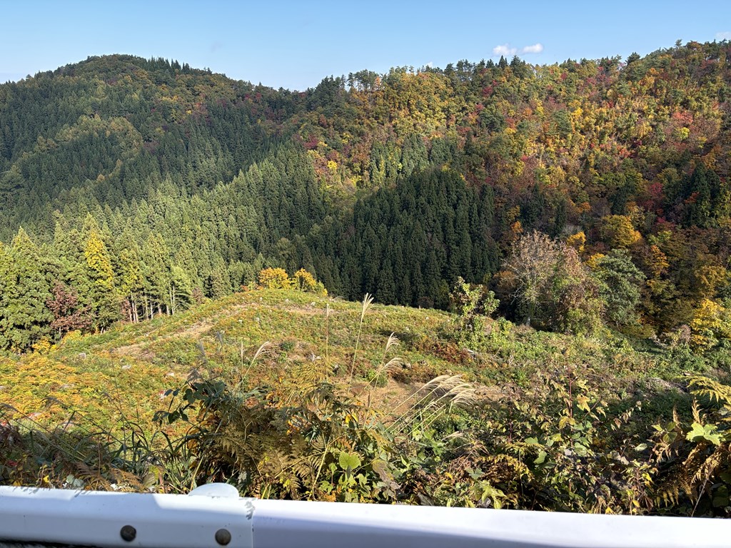 kawaguchi_safe's tweet image. ◆活動報告

熊出没スポットから、裏の山（市民の森）を巡回。

この山では人が少なく目撃情報は無いが、観光も兼ねて行ってみた。

ここでは山の途中に公園もあり、のどかで紅葉もあり絶景であった。

後半下りてゆく際に、なんと『ニホンカモシカ』を発見！…