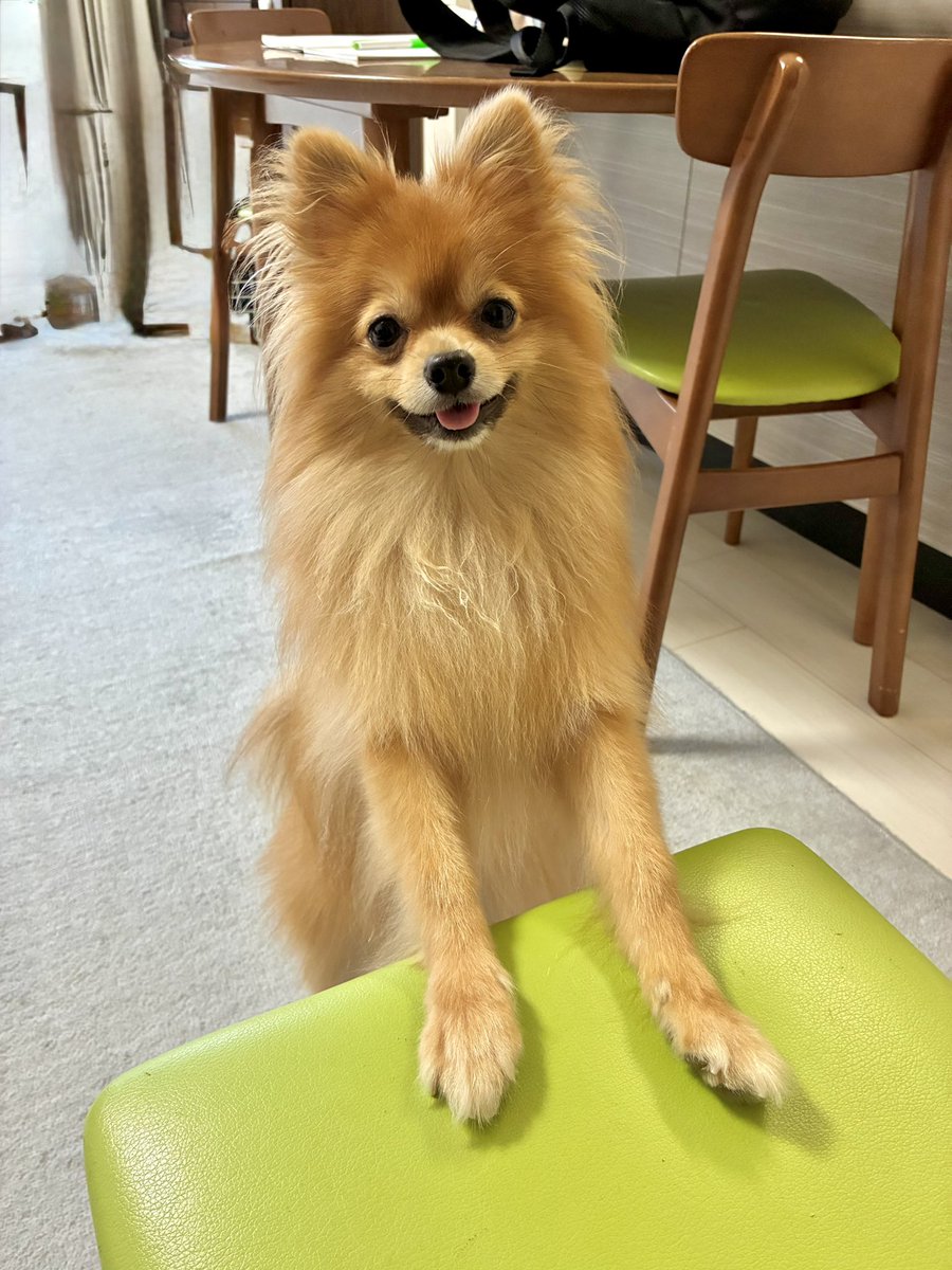 mimima1118's tweet photo. 行くよね？（圧） https://t.co/QeKg6xsutg
