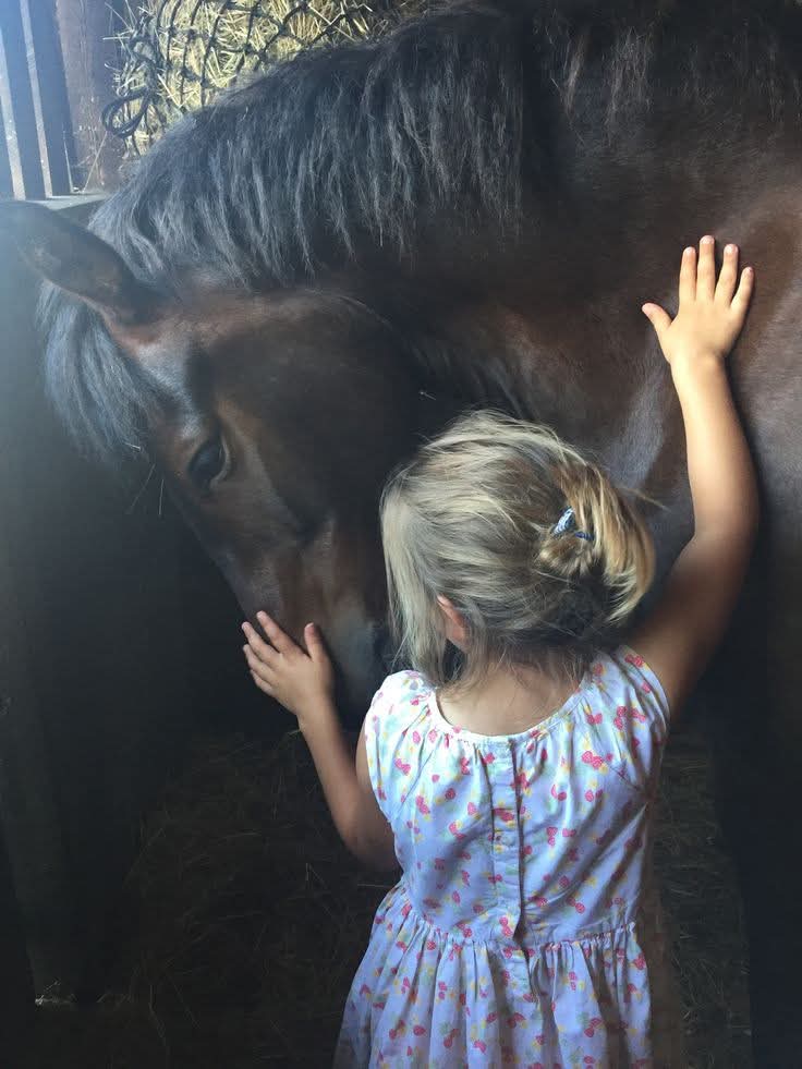 هي السِّحرُ
إِلّا أَنَّ لِلسِّحرِ رُقيَةً.

- قيس عن ليلى.