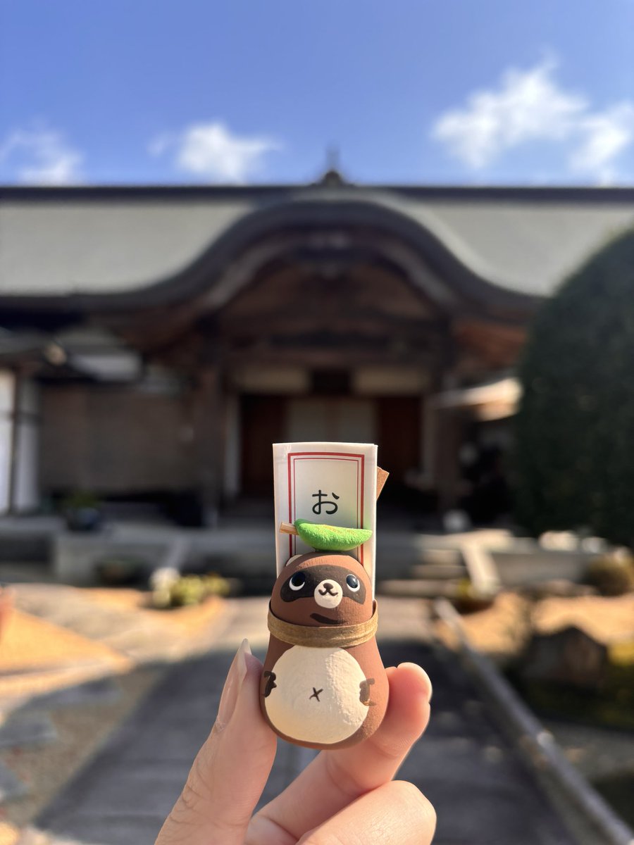 kinggnu11's tweet photo. TLがタヌキだらけでお迎えしちゃった
ぽんぽこかわいい https://t.co/Ml7cir0Bc3