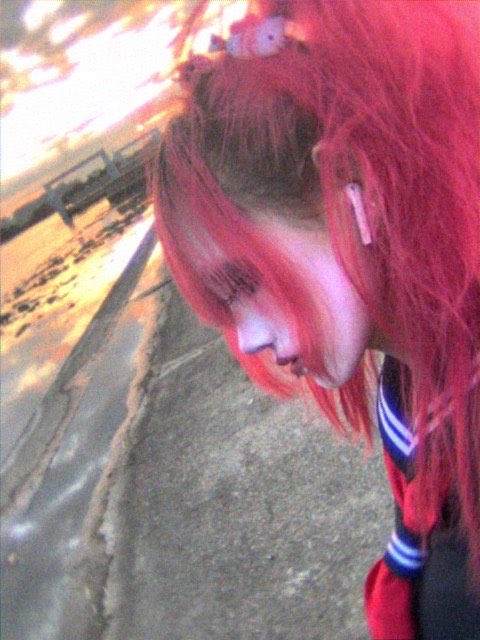 ぺこり (@pekonekoxux) on Twitter photo 