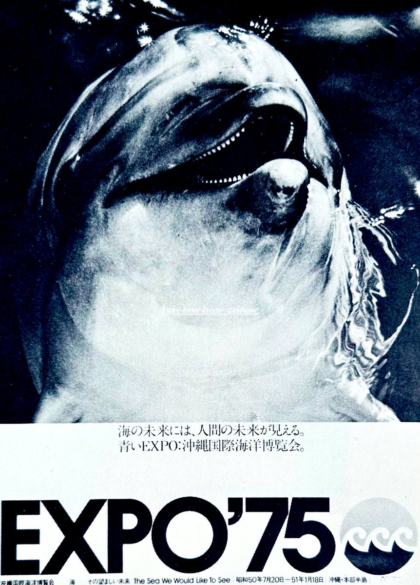 プリン人形 (@icjk2019) / Posts / X プリン人形 (@icjk2019) / Posts / X