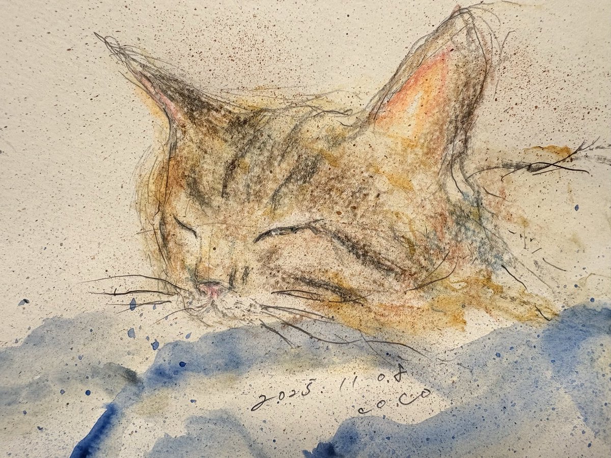 偶然の産物 tweet media