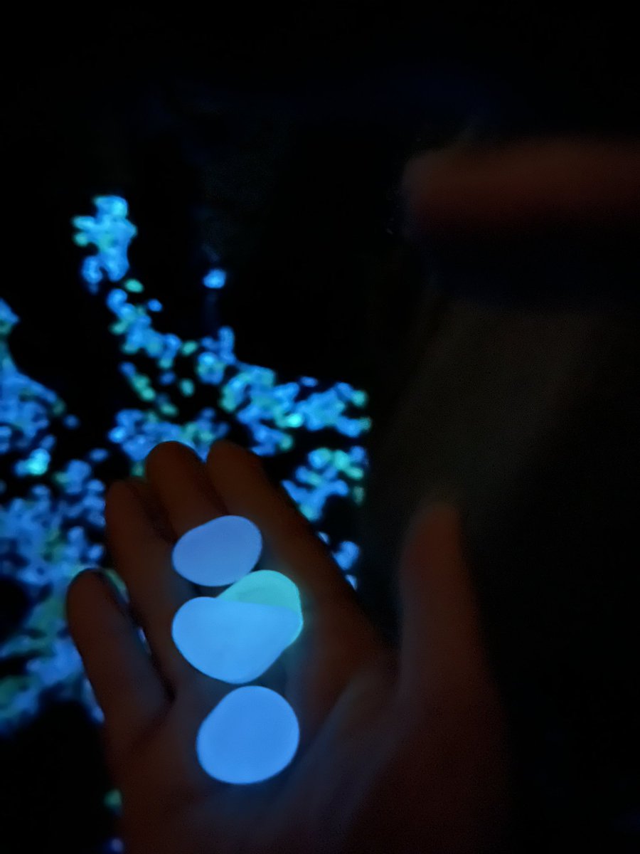 ゆまさん専用ページ ゆま (@yumayuma7956) / Posts / X