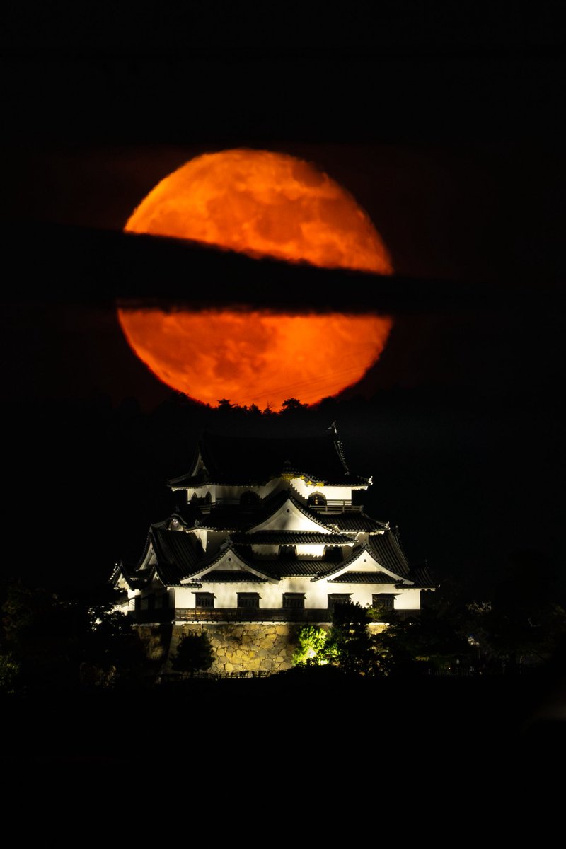 彦根城と🌕

#彦根城 #月城
