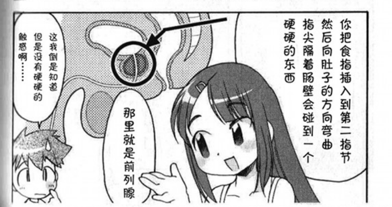 前列腺超爽高潮科普Prostate orgasm knowledge tweet media