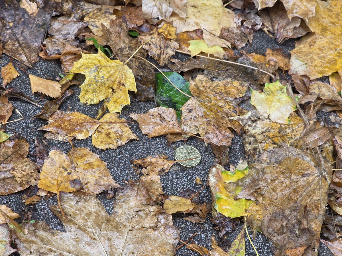 lado.d tweet media
