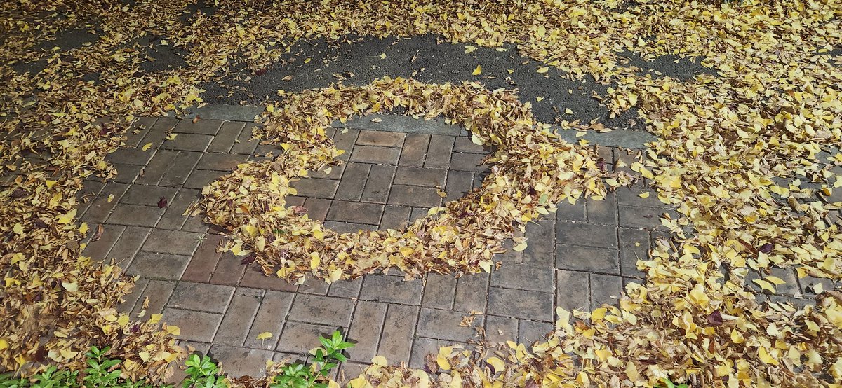 고래🐋 알🥚 (@goraearl) on Twitter photo 