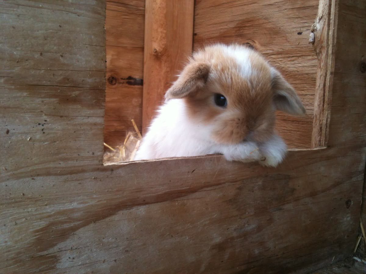 can i come over and stare at u like this