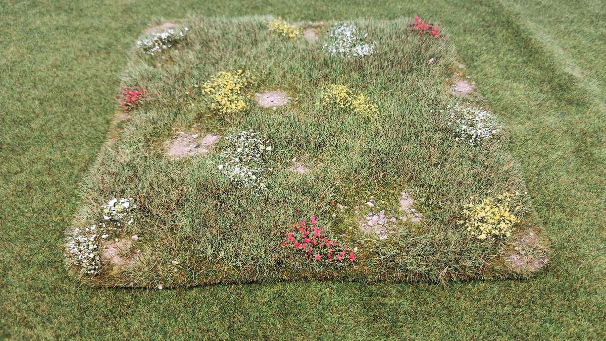 Debris of War tweet media