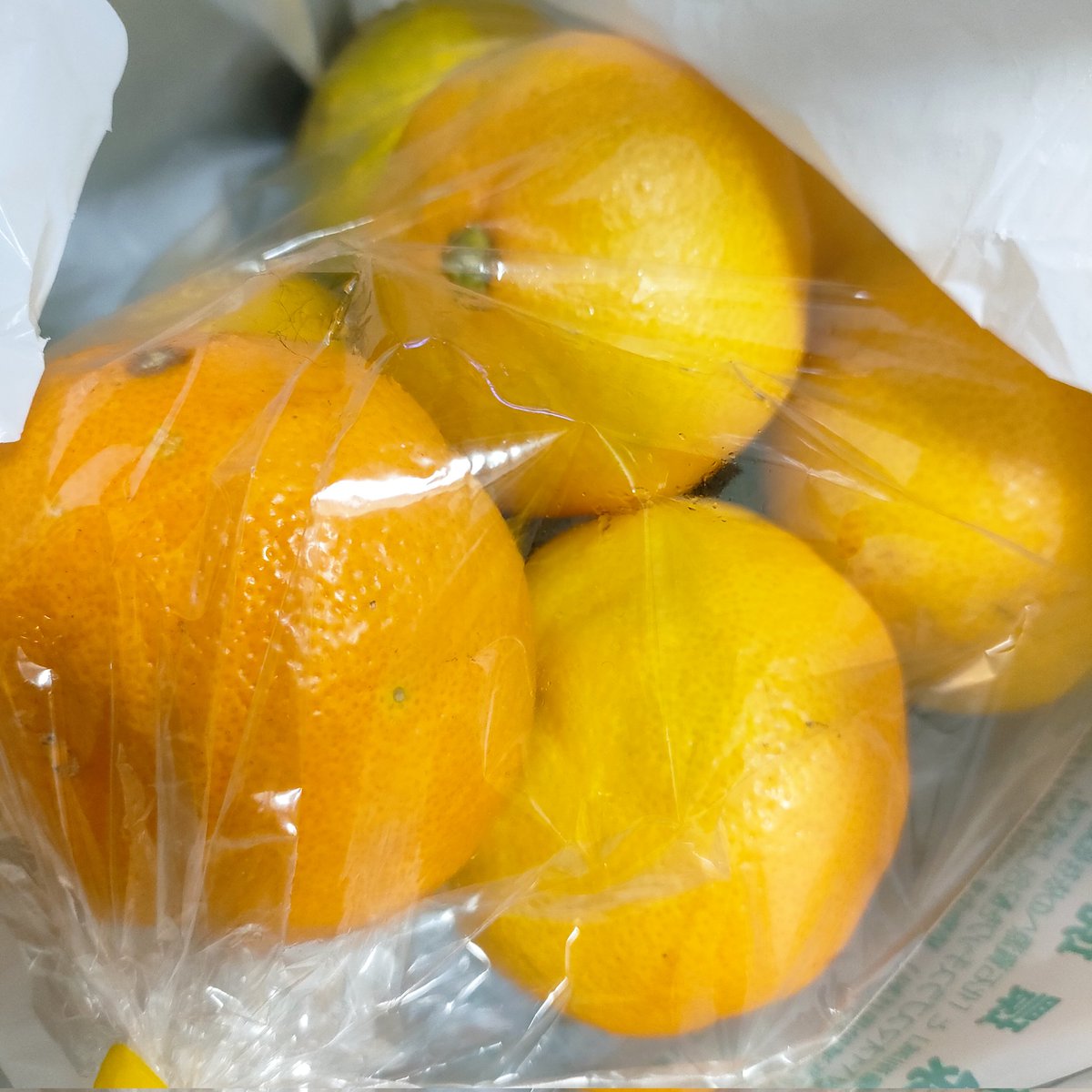 ひよこミカン☆山盛り 7B🐝 on X