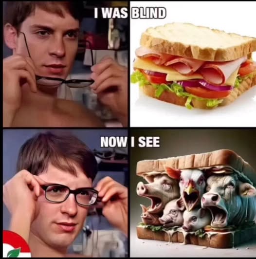 ŠBBKBB tweet media