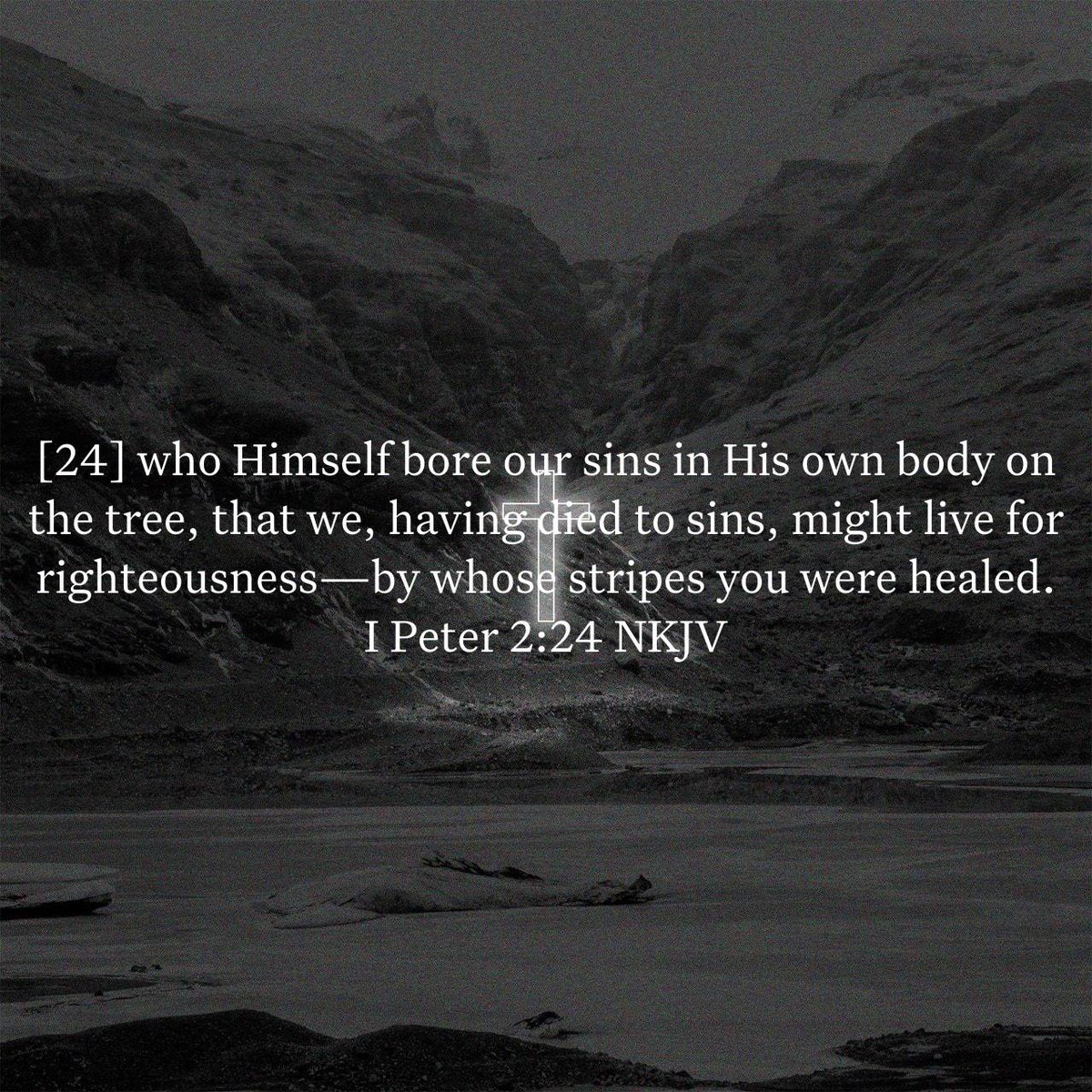 I Peter 2:24 NKJV
[24] who Himself bore our sins in His own body on the tree, that we, having died to sins, might live for righteousness—by whose stripes you were healed.