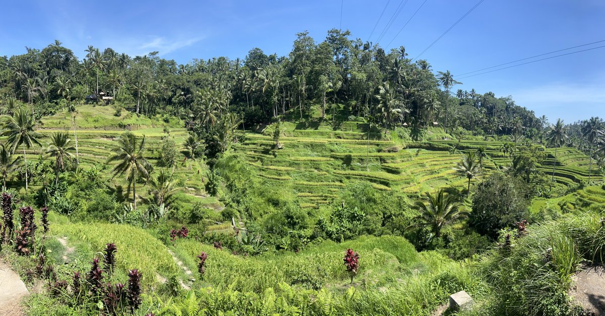 AndrejDrapal's tweet image. Human #comprehension happens when #memes enter a memetic #field created in brains. It is a complex #quantum-like proces explained in this post. andrejdrapal.com/2024/11/14/mem…