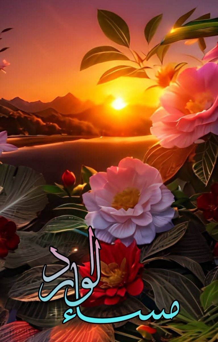 أبو عبدالله🇸🇦 (@goldeneaglef15c) on Twitter photo 