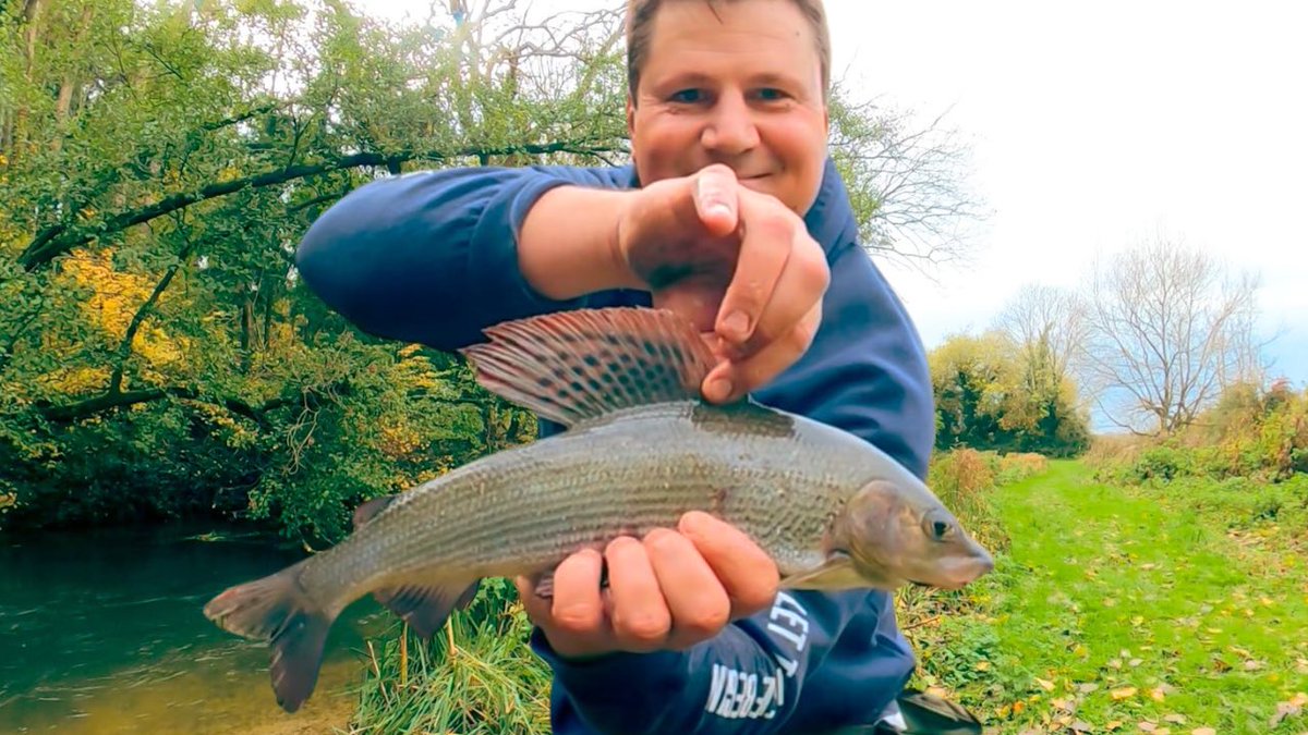 The Amputee Angler tweet media