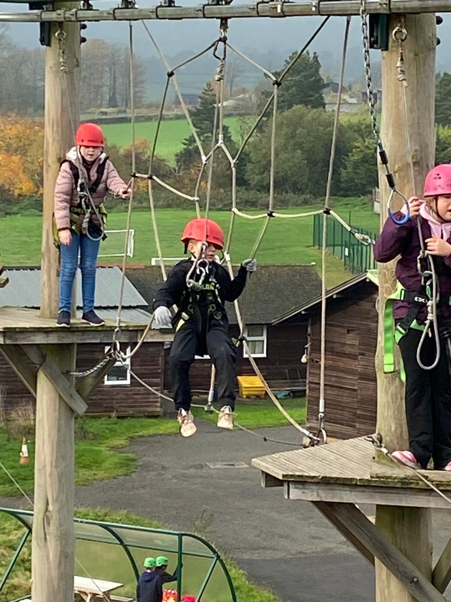 ❤️🖤🤍St Thomas More R.C Primary School🤍🖤❤️ tweet media