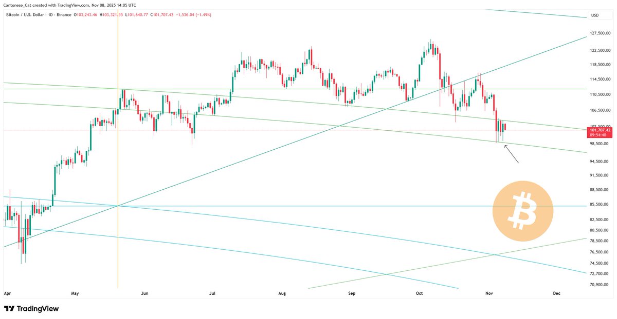 Cantonese Cat 🐱🐈 tweet media