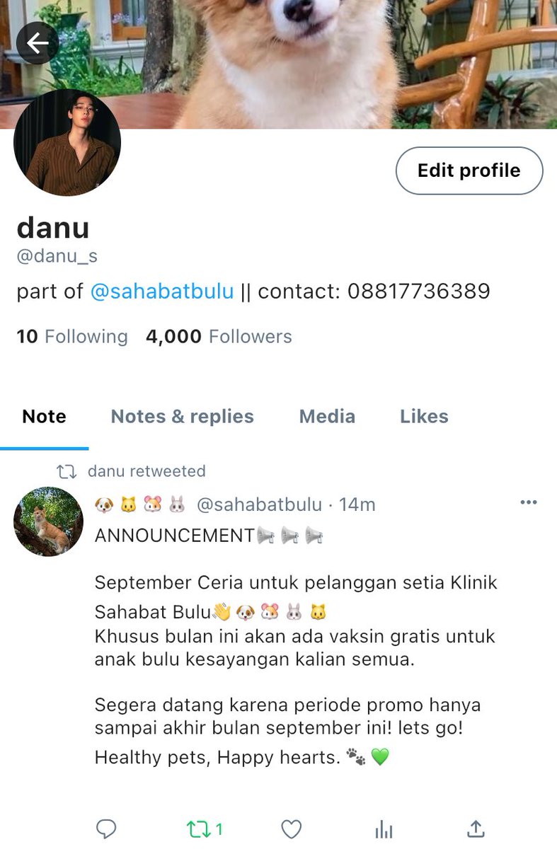 greendays tweet media