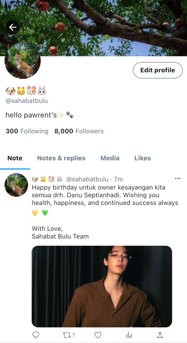 greendays tweet media