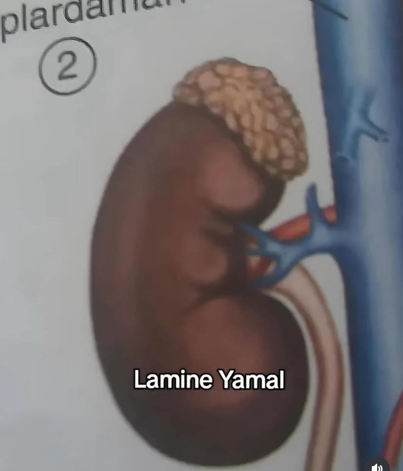 lalala (@sedasayan07) on Twitter photo 