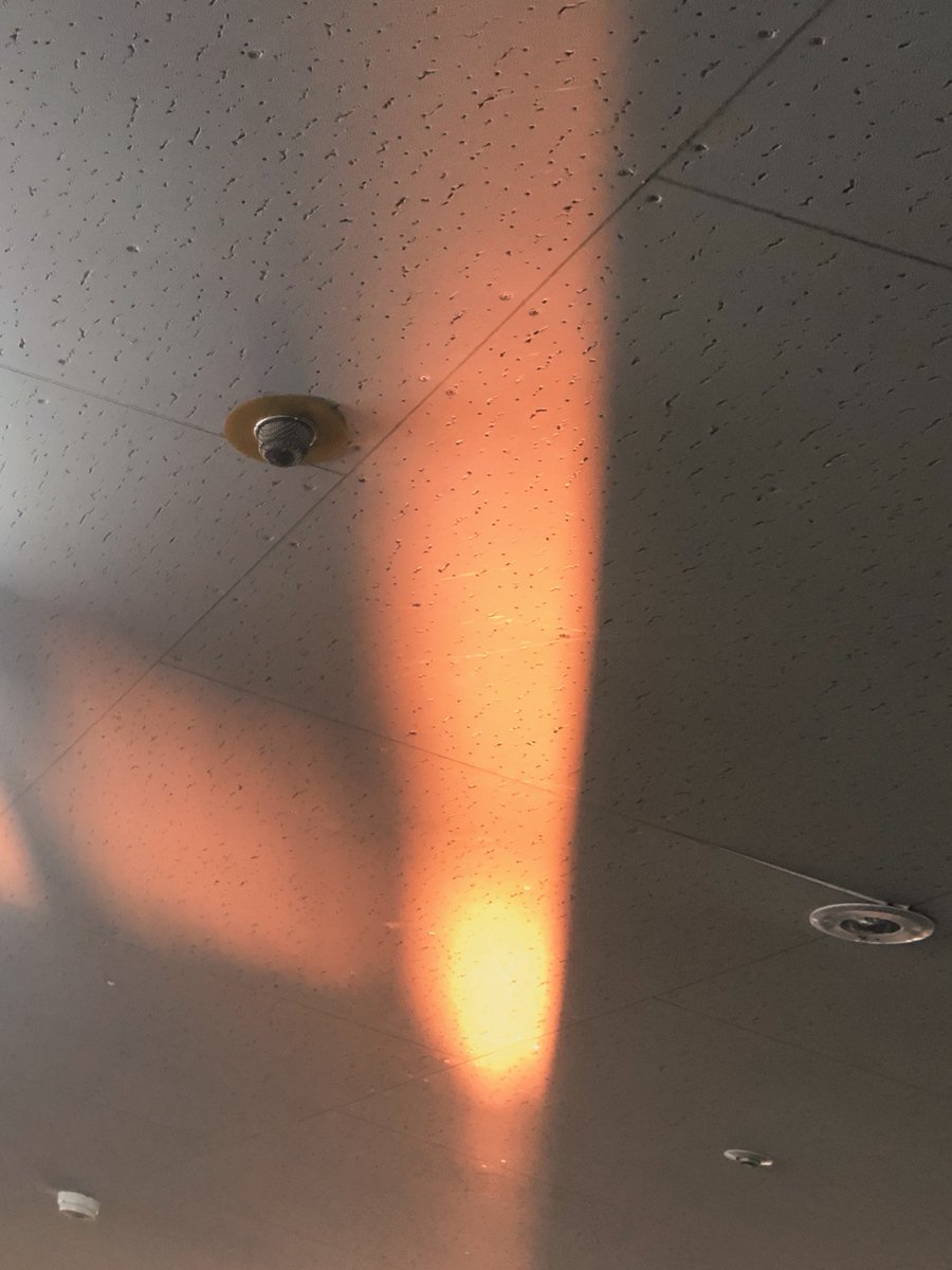 心ががらんとしていて体に力が入らない。スープをつくるので精一杯の日だった。